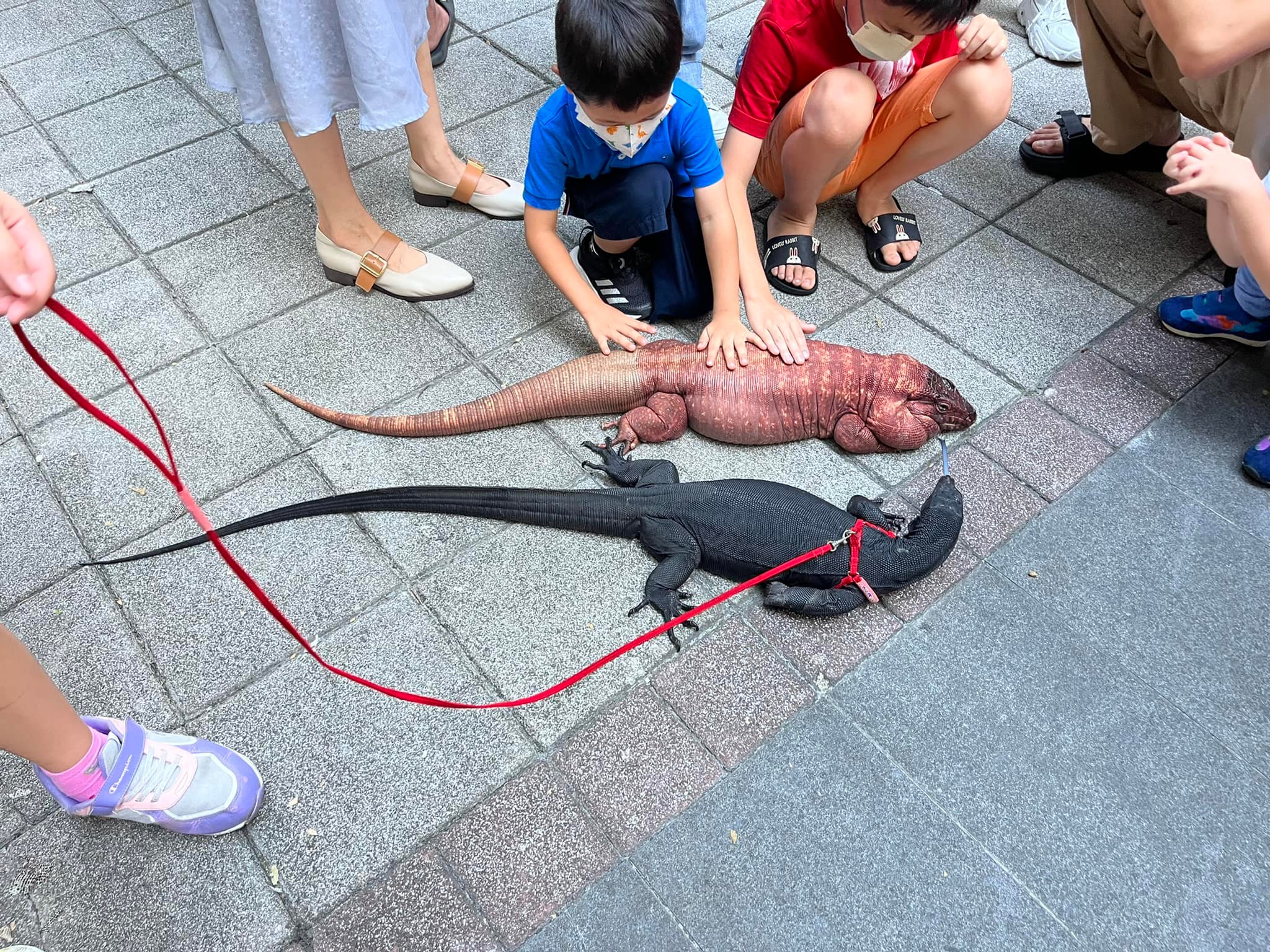 ตัวเงินตัวทอง