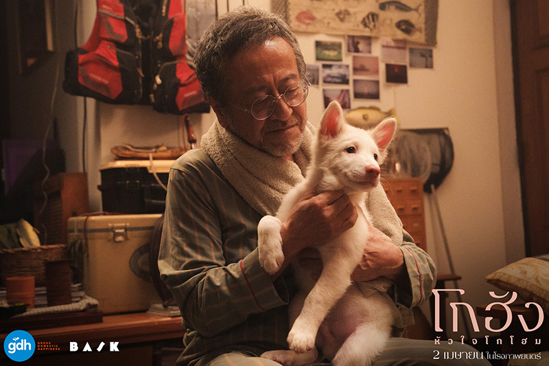หนัง โกฮัง หัวใจโกโฮม หนังเกี่ยวกับสุนัข หนังใหม่ GDH 2569