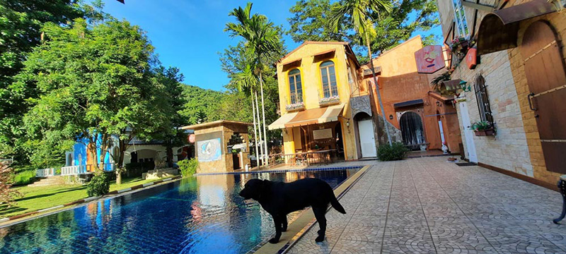 โรงแรม Pet Friendly