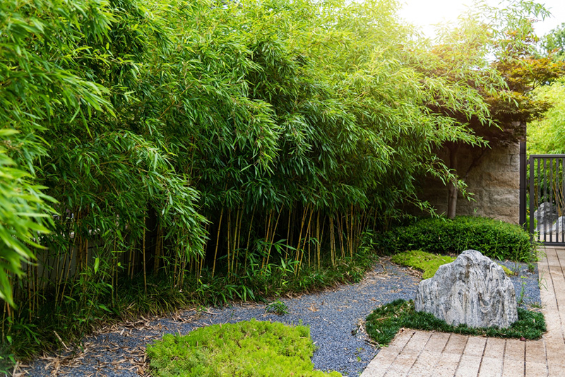 ฮวงจุ้ยสวนปี 2026