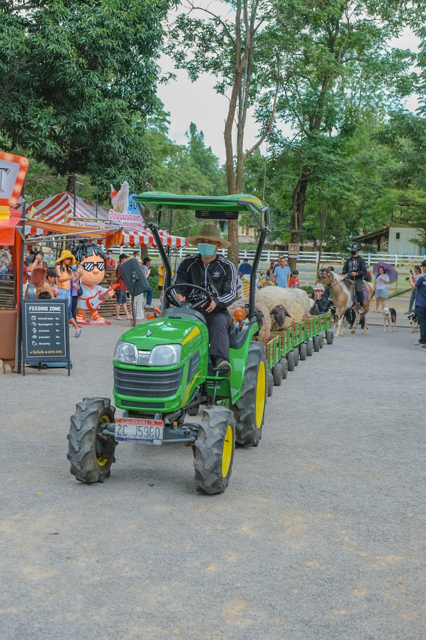 The Scenery Vintage Farm