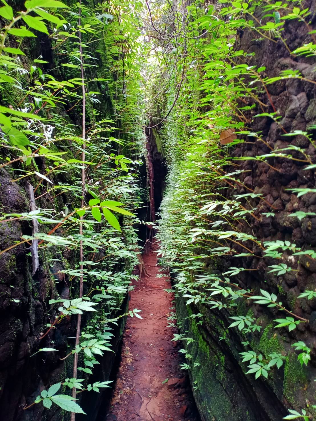 ถ้ำนาคา