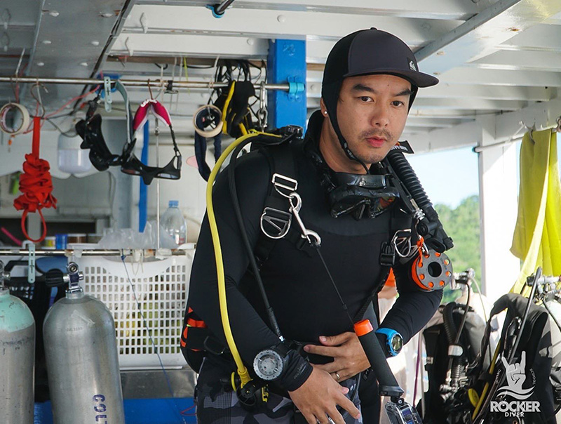 กวาง AB Normal