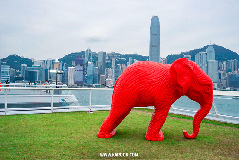 เที่ยวฮ่องกง 2023