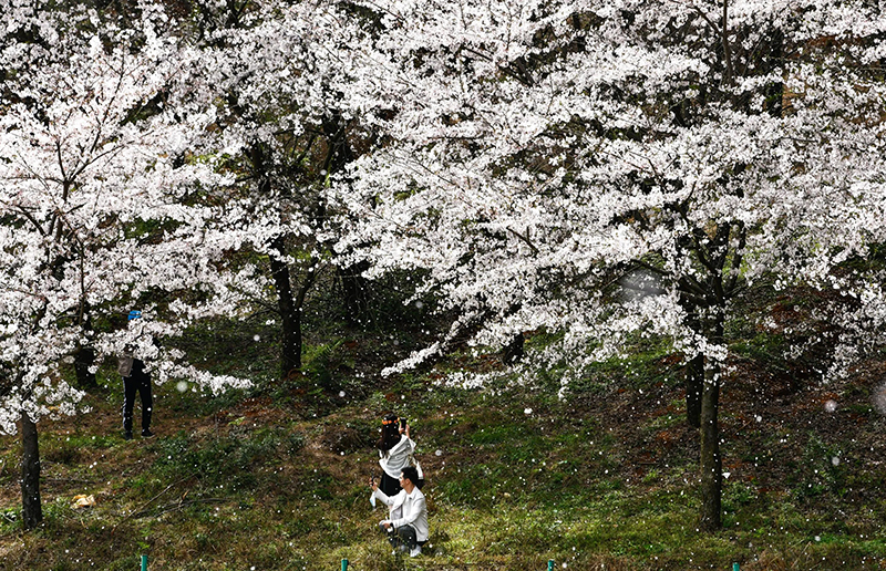 เที่ยวจีน