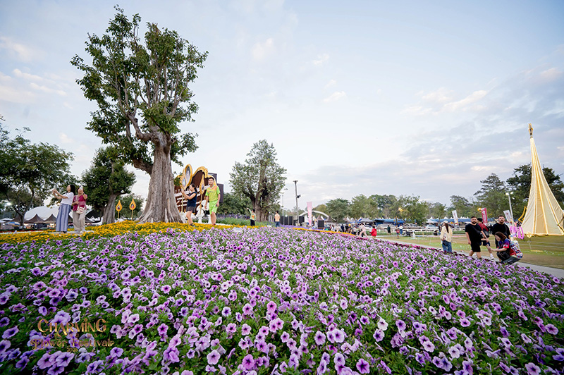 Charming Chiang Mai Flower Festival 2026