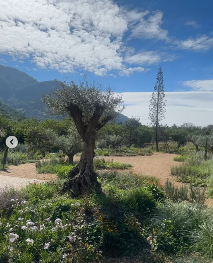 ญาญ่า อุรัสยา