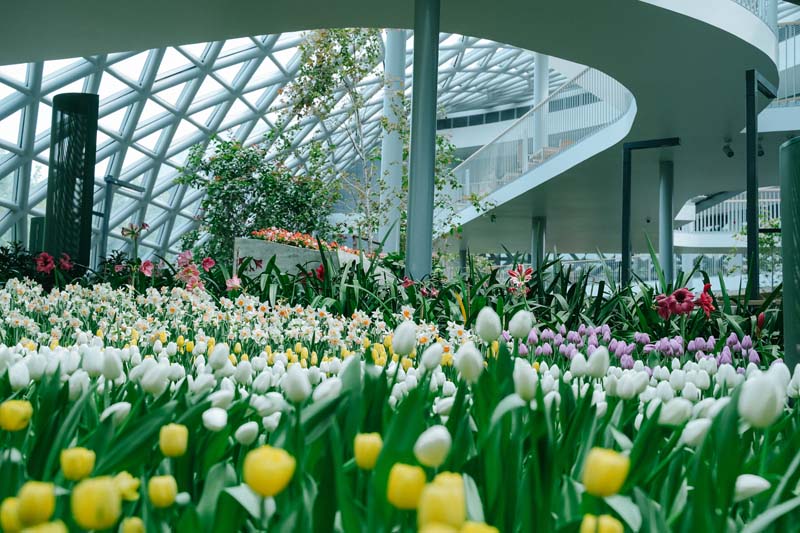 ที่เที่ยวระยอง