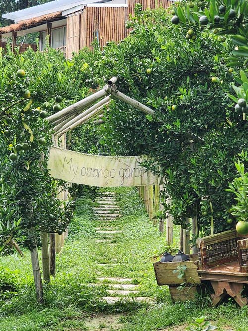 สวนของฉัน My garden 