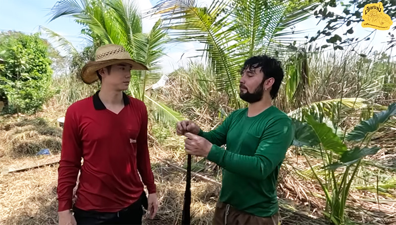 มาริโอ้ 