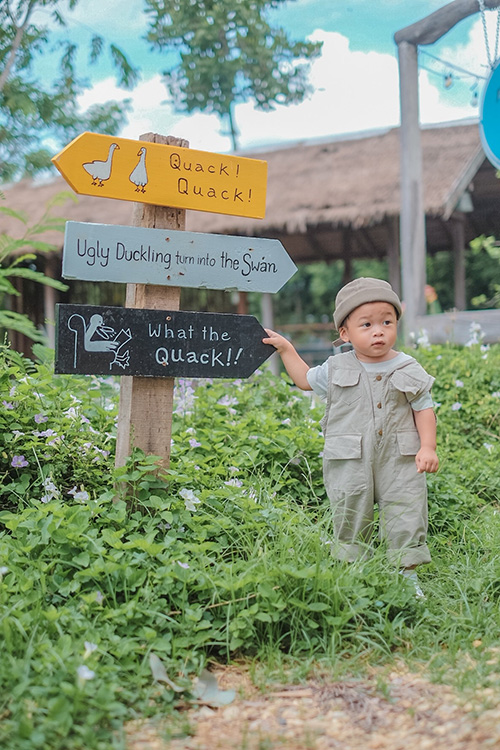 The Ugly Duckling Learning Farm