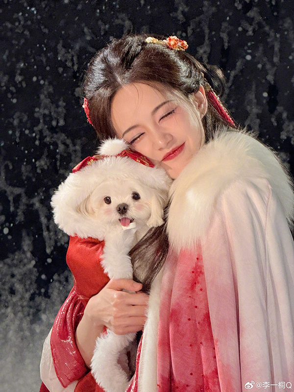 หลี่อี้ถง ประวัติ