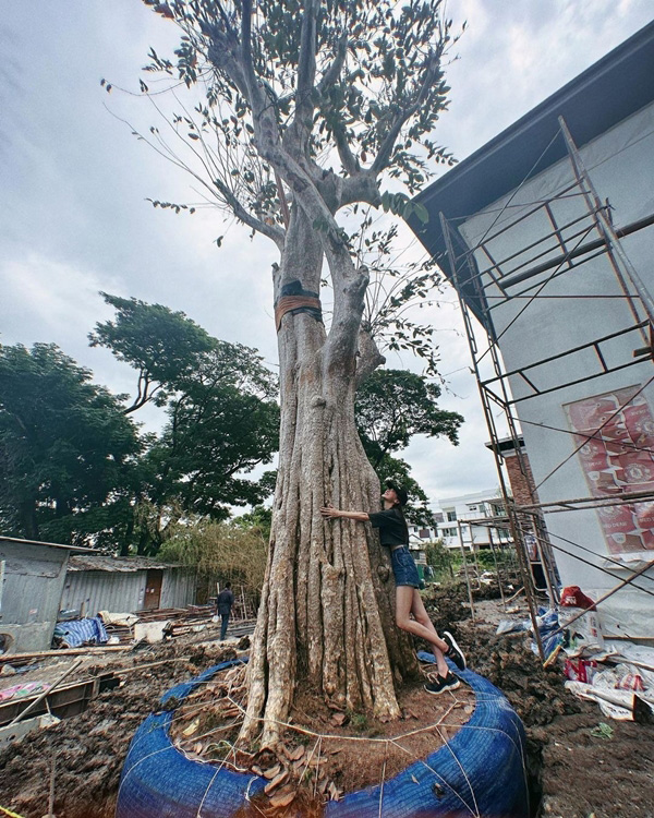 บ้าน ใบเฟิร์น พิมพ์ชนก