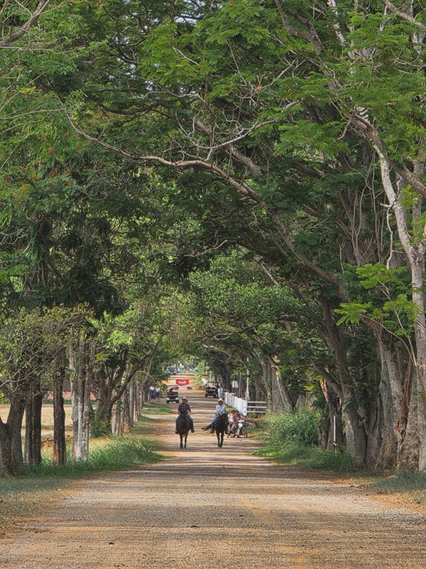 ปราบ บูลกุล