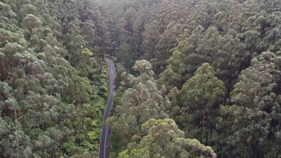 Black Spur