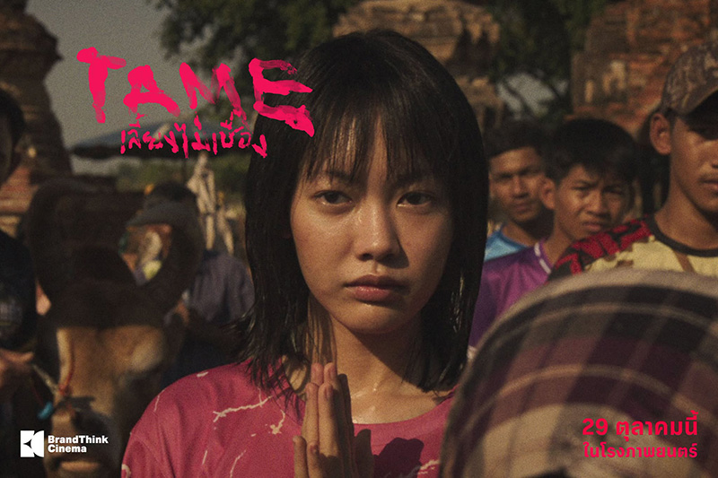 TAME เลี้ยงไม่เชื่อง หนังใหม่ 2026 หนังใหม่เดือนตุลาคม 2569 ดูหนัง