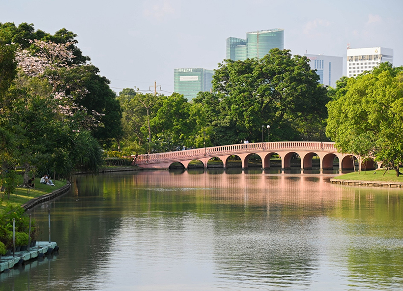 ชมพูพันธุ์ทิพย์ จตุจักร 2568