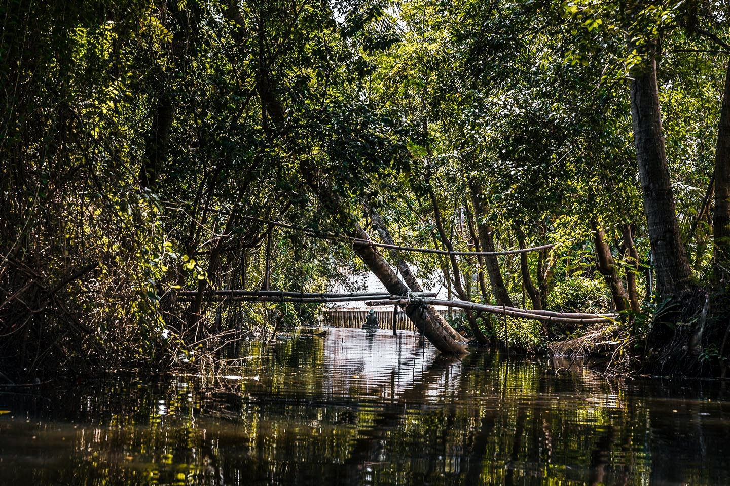 ล่องเรือคายัค