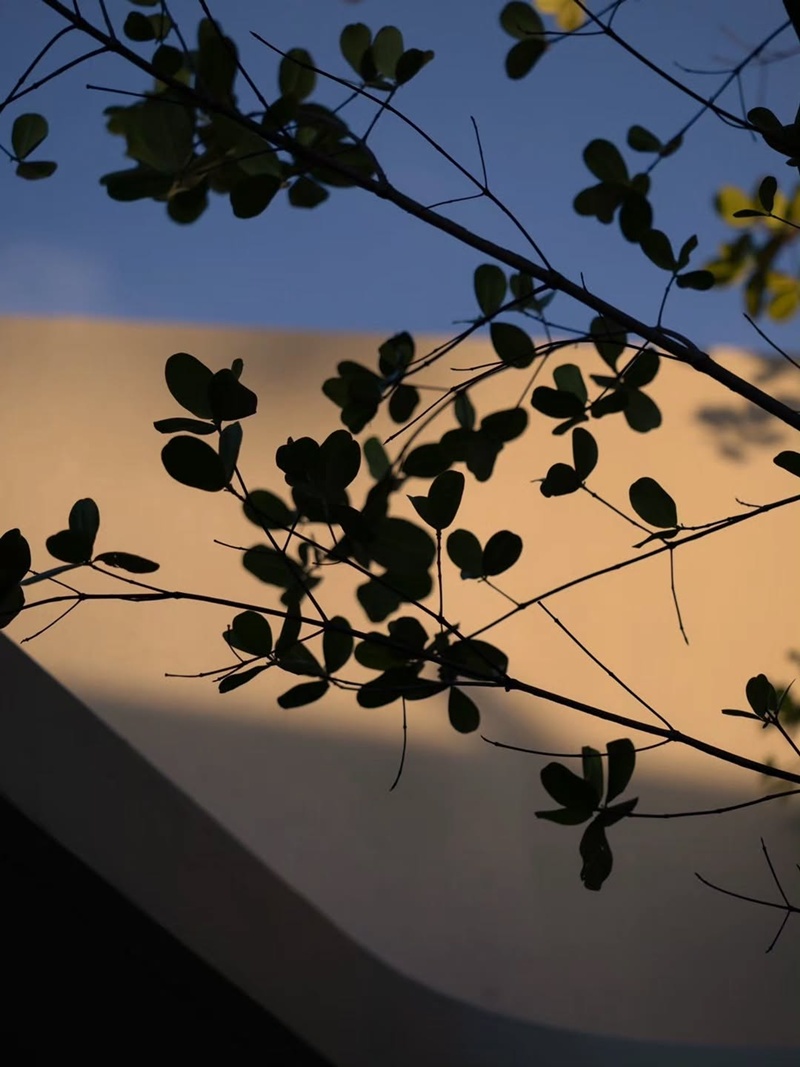 ตูน ก้อย