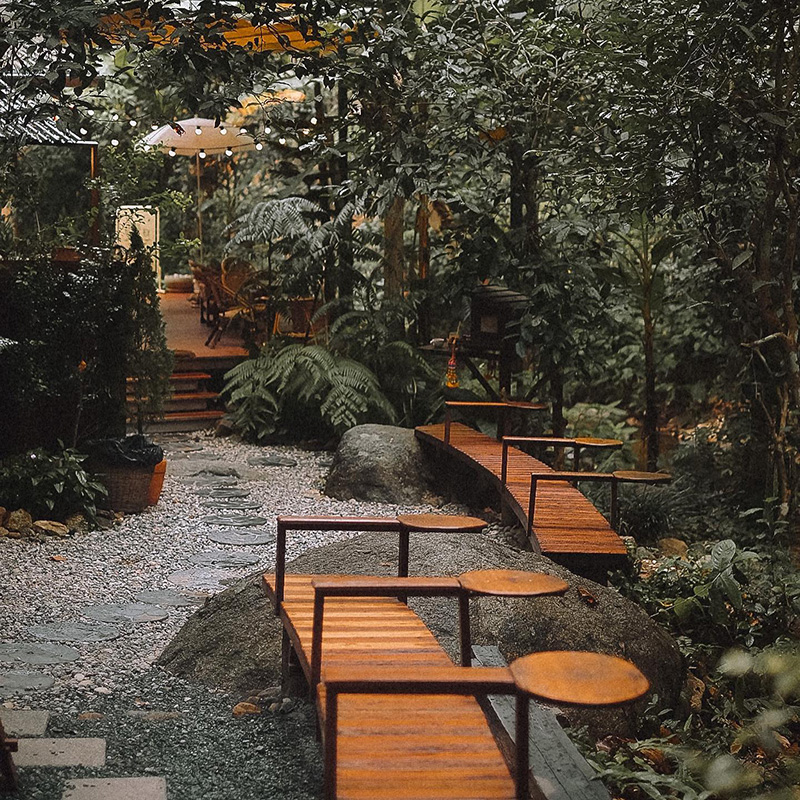 ร้านกาแฟเชียงใหม่ ธรรมชาติ