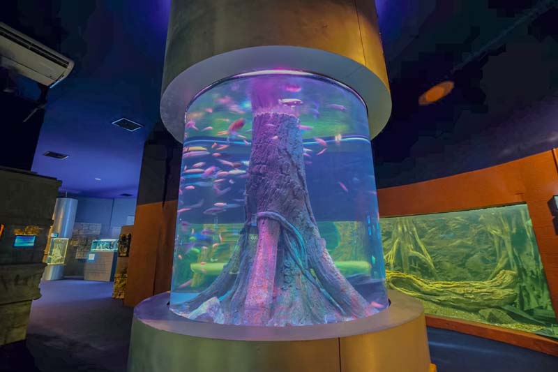 Aquarium สวนสัตว์เชียงใหม่ 