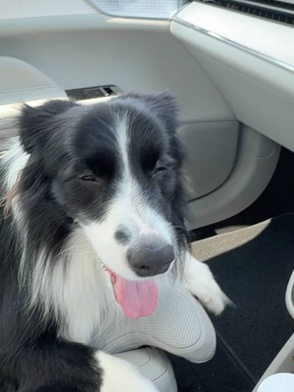  เจมส์ จิรายุ 