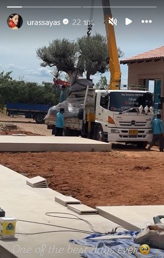 ญาญ่า อุรัสยา ซื้อต้นมะกอกปลูกที่บ้านเขาใหญ่