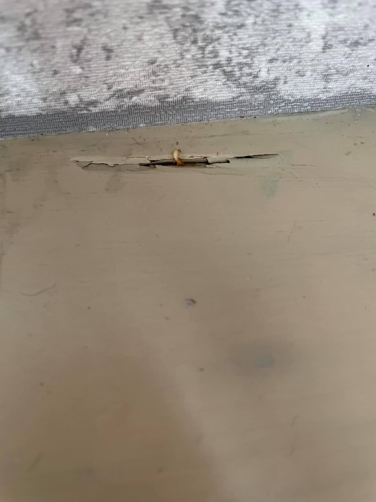 หนักแน่น นรินทร์โชติ 