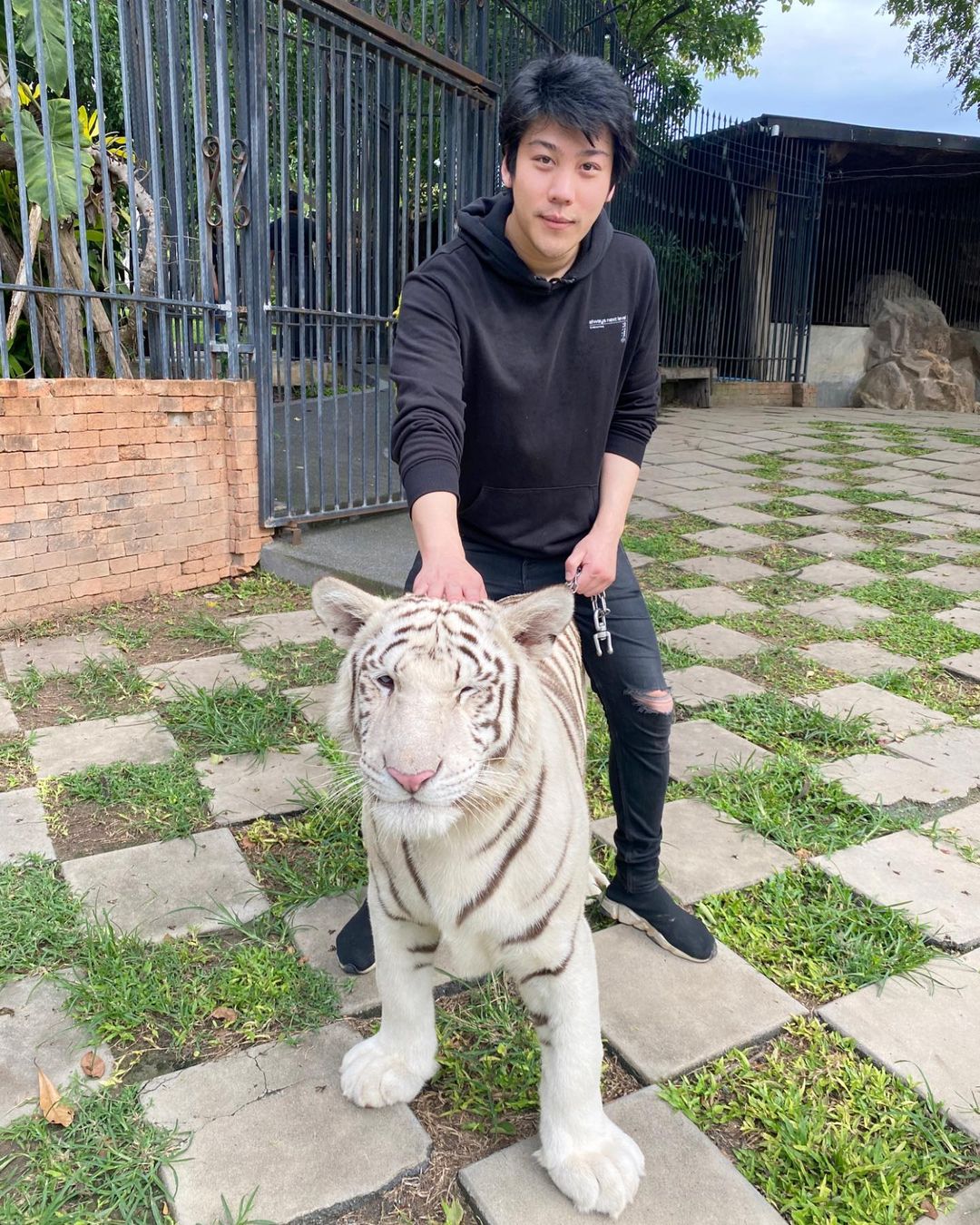 ไฮโซแชมป์