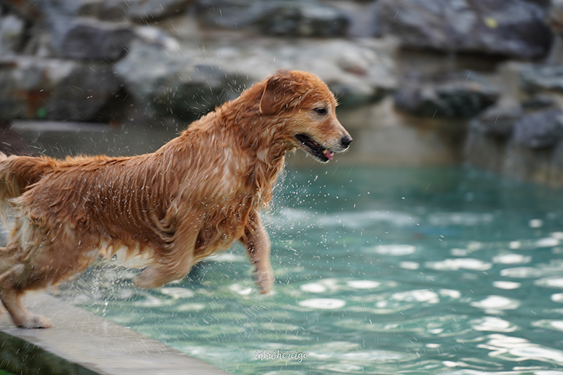 Hugmhaland ตลิ่งชัน