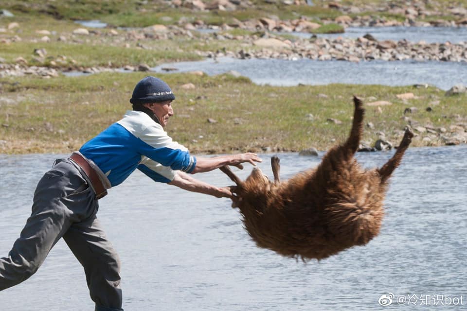 อาบน้ำแกะ