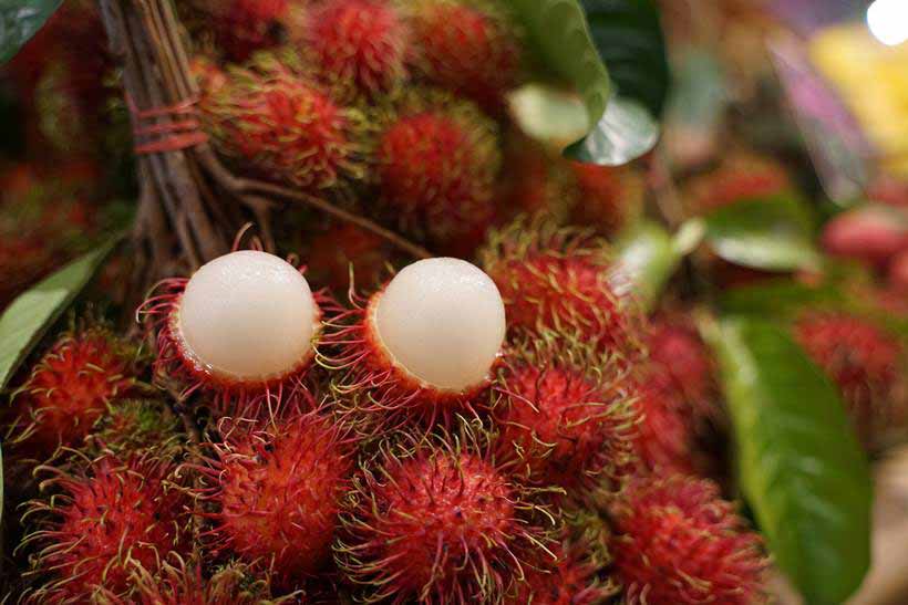 งาน ฟื้นใจไทย ผลไม้ไทย ช่วยเกษตรกรไทย