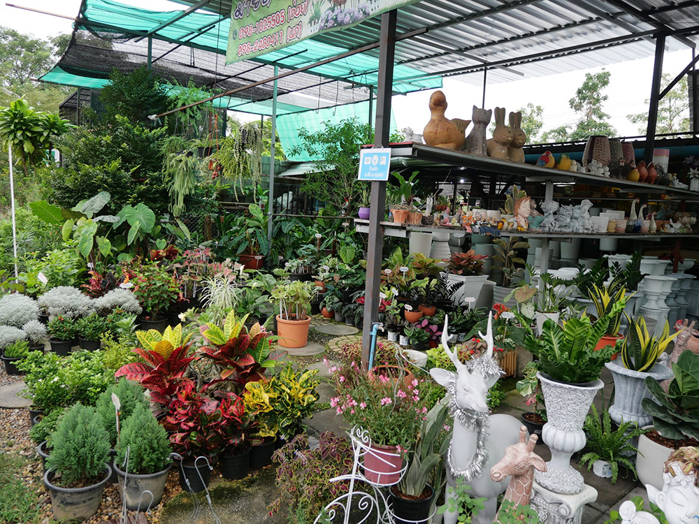 ตลาดต้นไม้