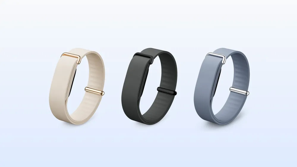 Elevated Modern Band