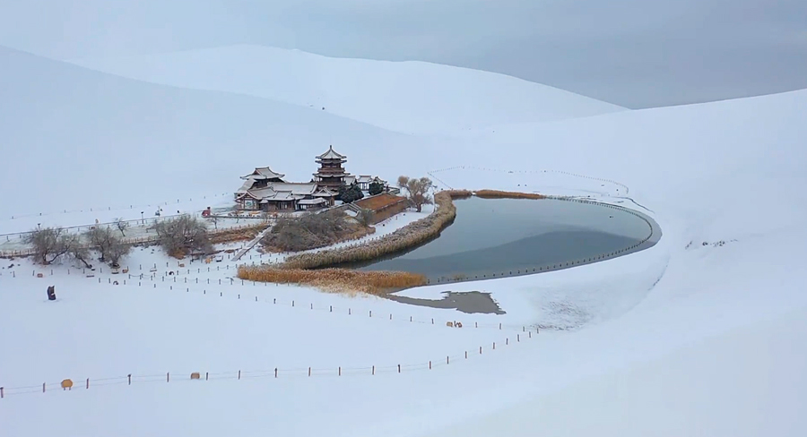 โอเอซิสกลางทะเลทราย