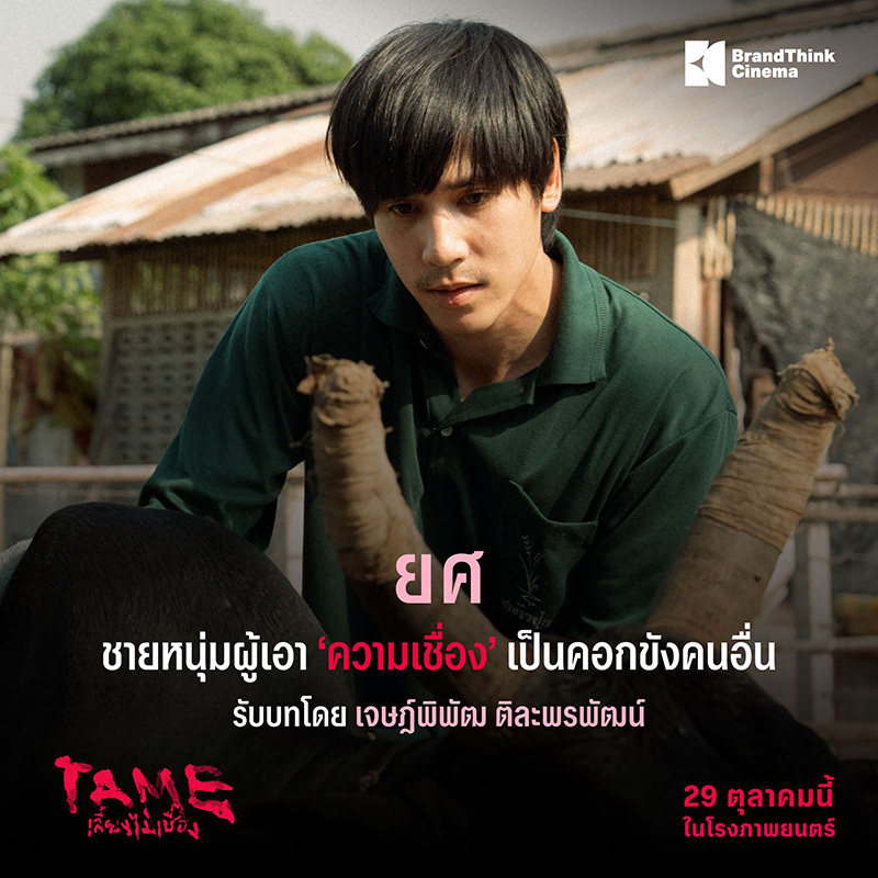 TAME เลี้ยงไม่เชื่อง หนังใหม่ 2026 หนังใหม่เดือนตุลาคม 2569 ดูหนัง