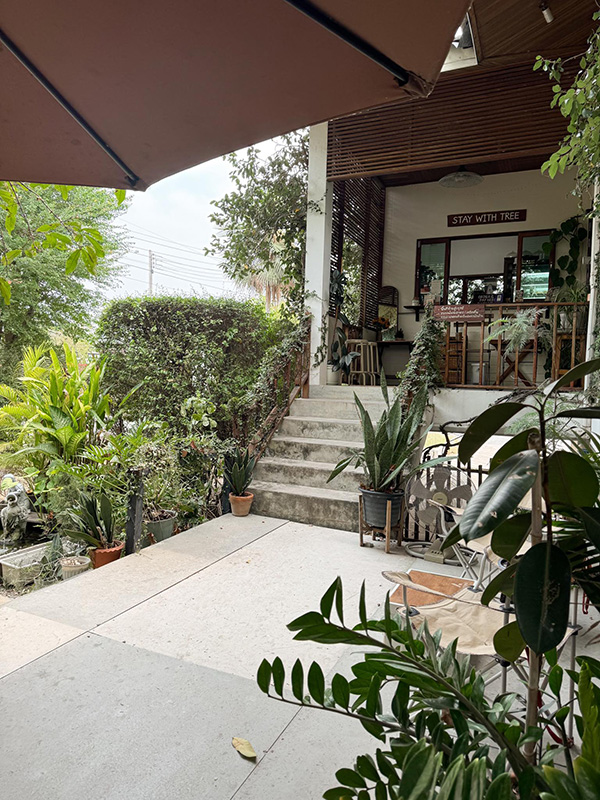 STAY WITH TREE cafe มะยงชิด
