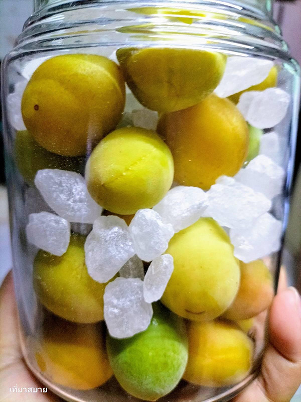 ไซรัปบ๊วย วิธีทำ Ume Syrup สูตรเครื่องดื่ม