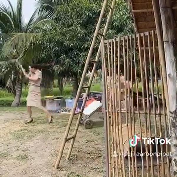 นุ้ย สุจิรา