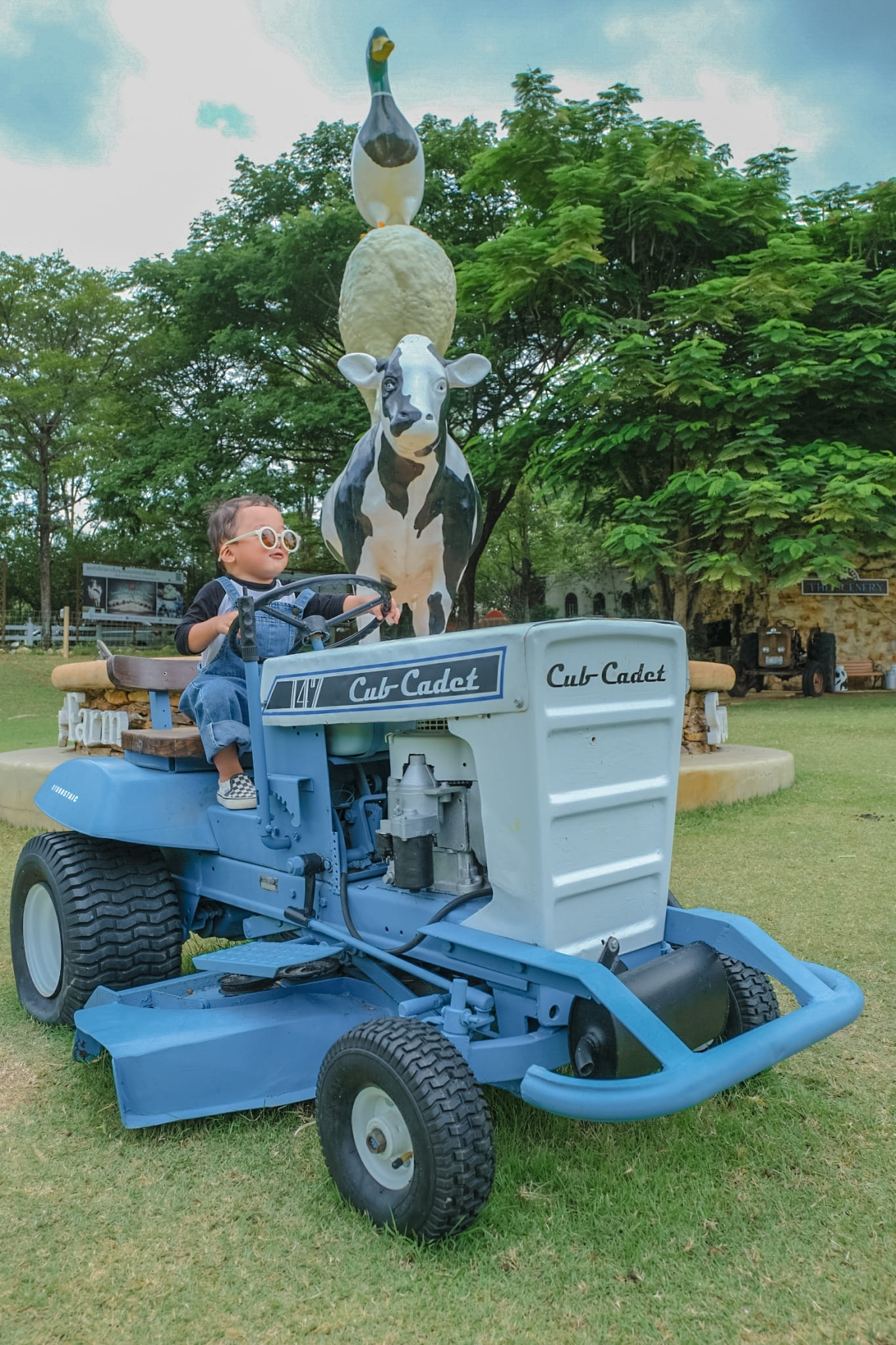 The Scenery Vintage Farm