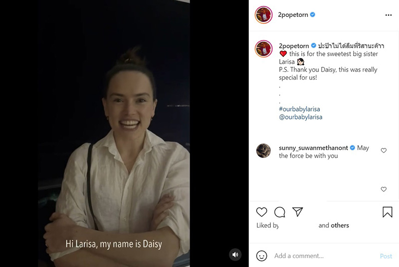 เดซี ริดลีย์