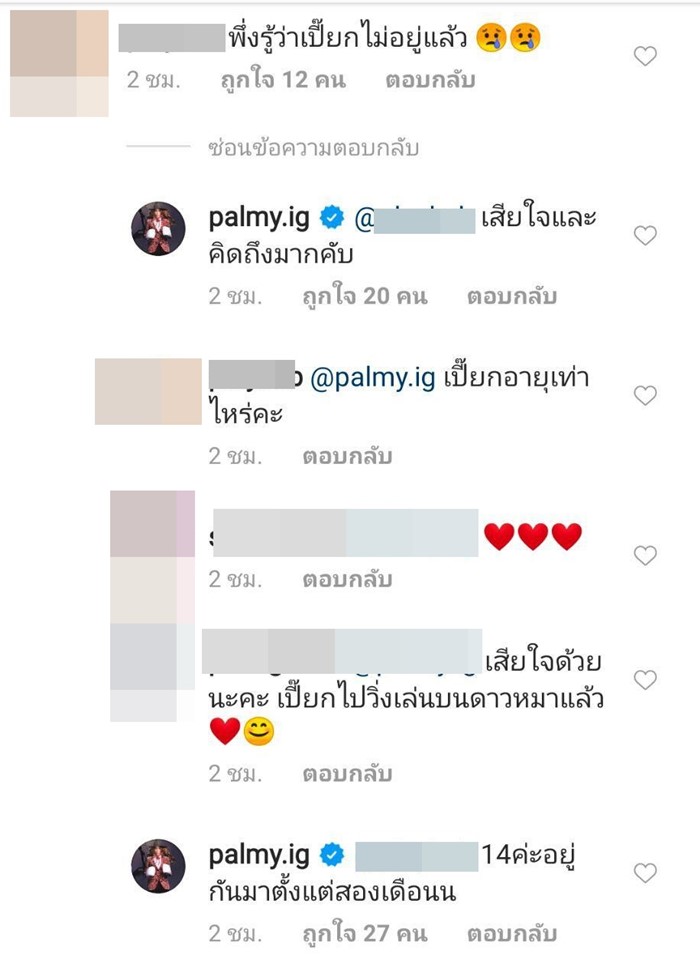 ปาล์มมี่