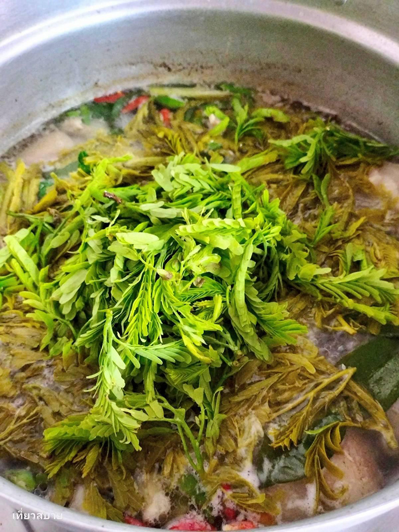 ต้มยำขาหมูใบมะขามอ่อน เมนูต้มยำ ขาหมู อาหารไทย สูตรอาหาร