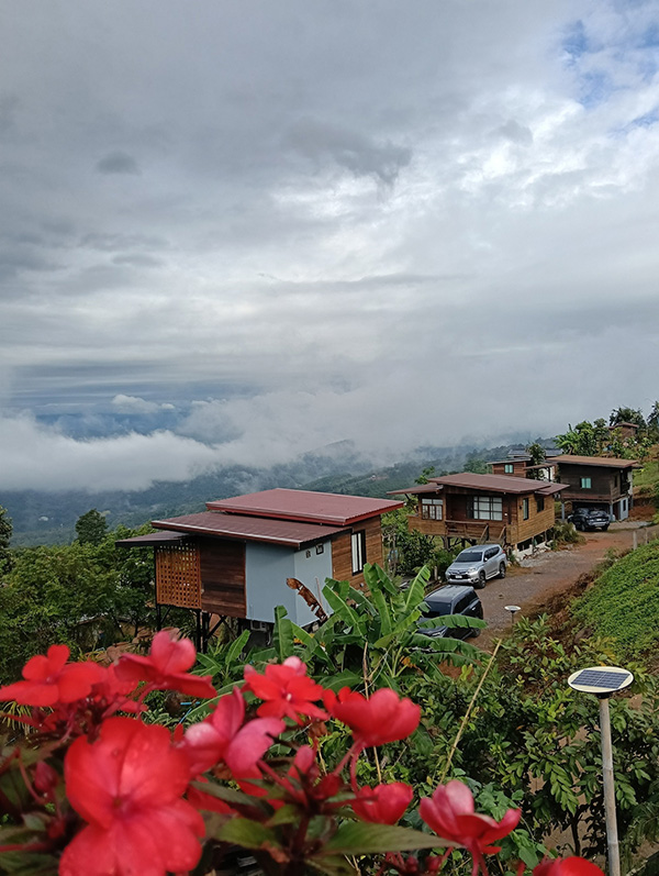 ที่พักหน้าหนาว 2568 ลา-คำวัน โฮมสเตย์