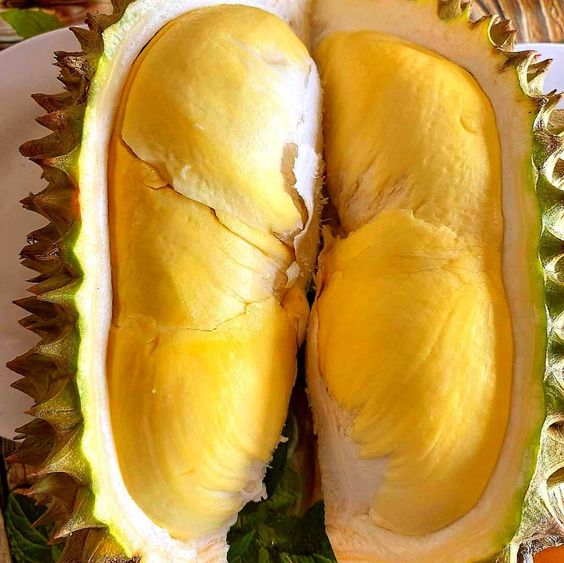 Durian Buffet, Suan Lamai
