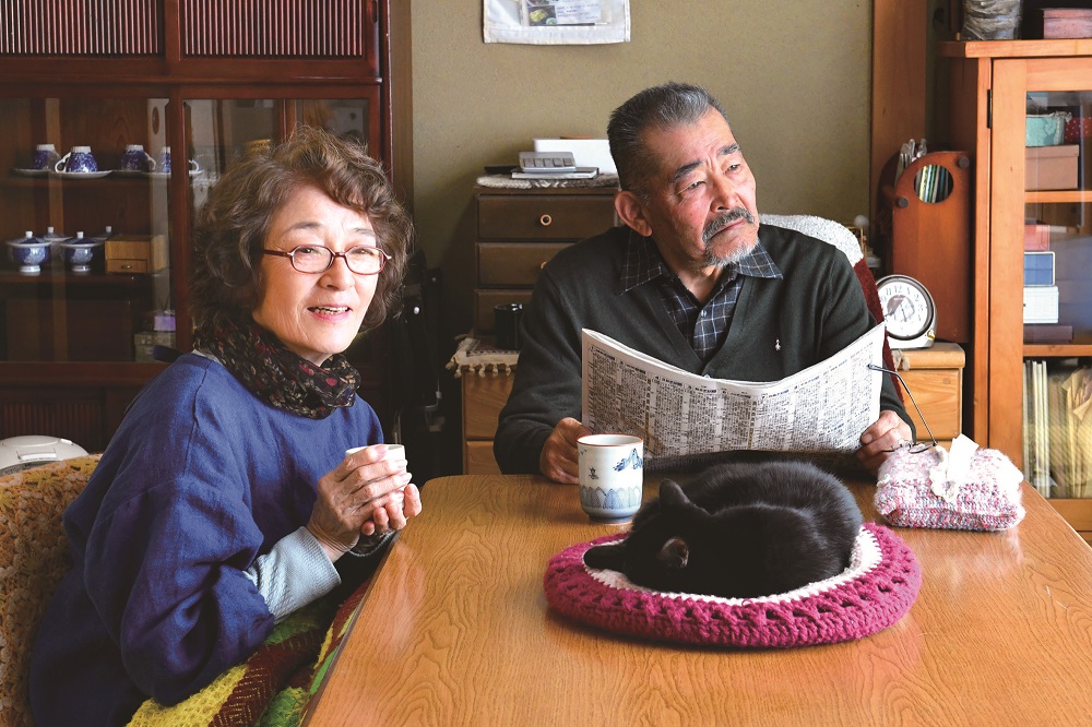 หนังแมวญี่ปุ่น