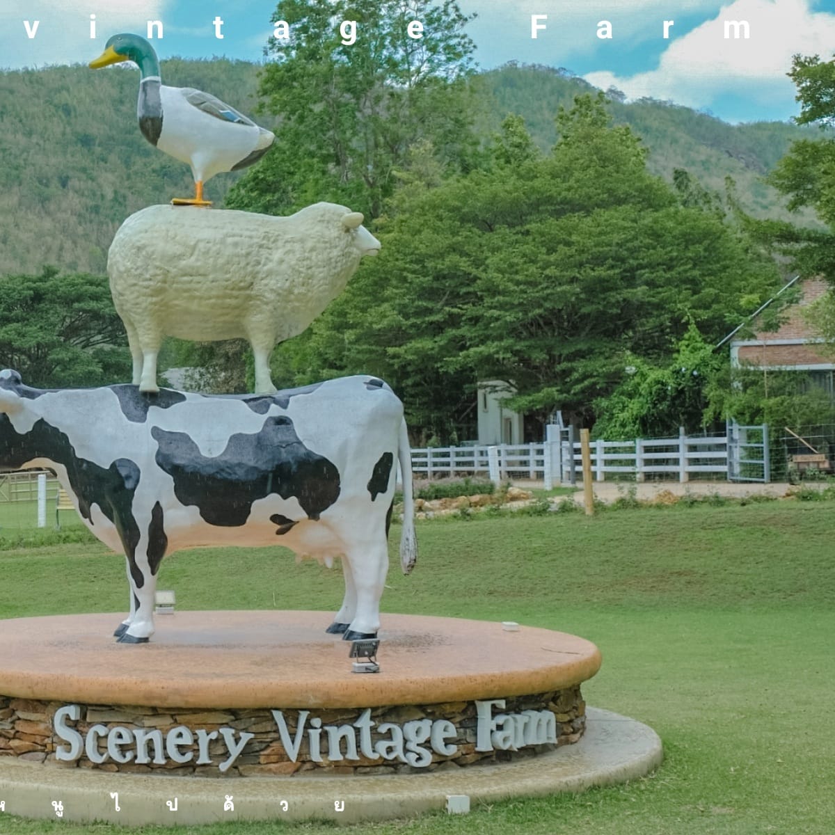 The Scenery Vintage Farm