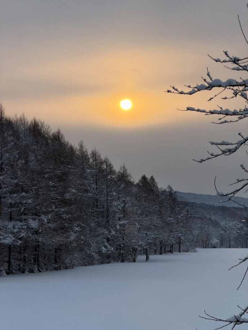 เต้ย จรินทร์พร