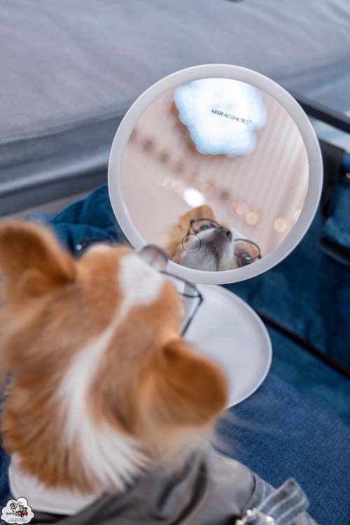 คลินิกความงาม 