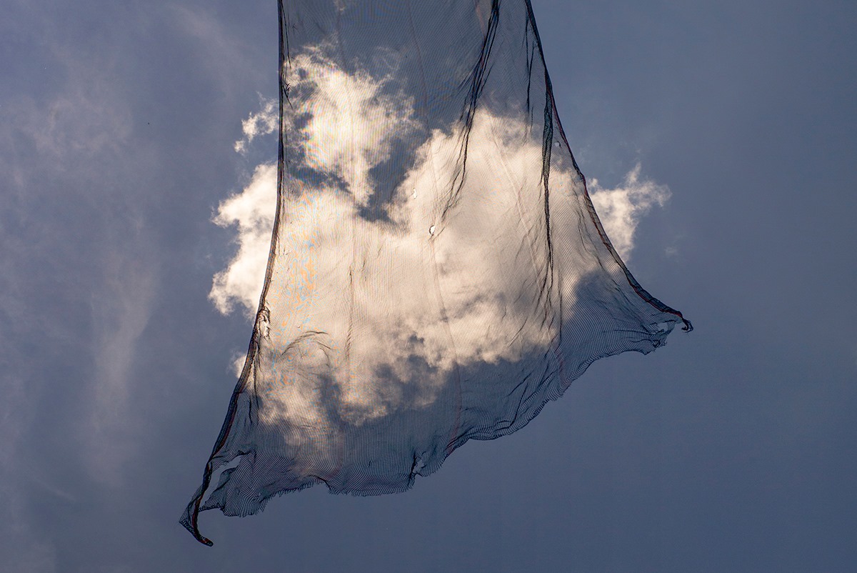 ภาพถ่าย